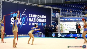 esibizioni farfalle ph simone ferraro sfa02424 copia